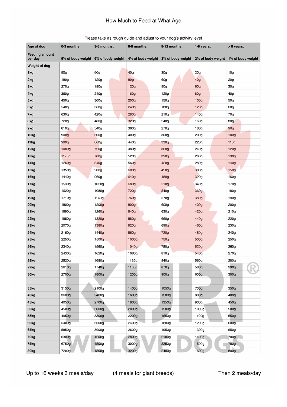 dog-feeding-chart-download-printable-pdf-templateroller