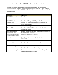 Document preview: Instructions for Form GNOCHC-3 Community Care Coordination Quarterly Report - Louisiana