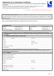Form SRG2002B Application for an Aerodrome Certificate - United Kingdom