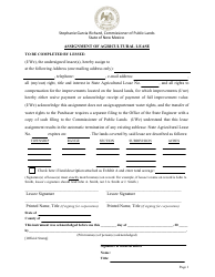 Form S-37 Assignment of Agricultural Lease - New Mexico, Page 2