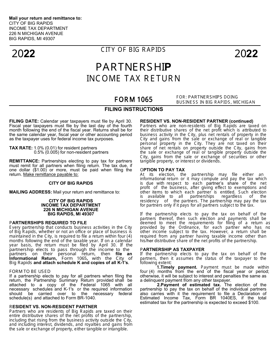 Form 1065 Download Printable PDF or Fill Online Tax Summary