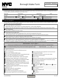 Document preview: Borough Intake Form - New York City