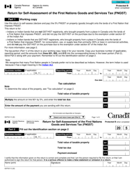 Form GST531 Return for Self-assessment of the First Nations Goods and Services Tax (Fngst) - Canada