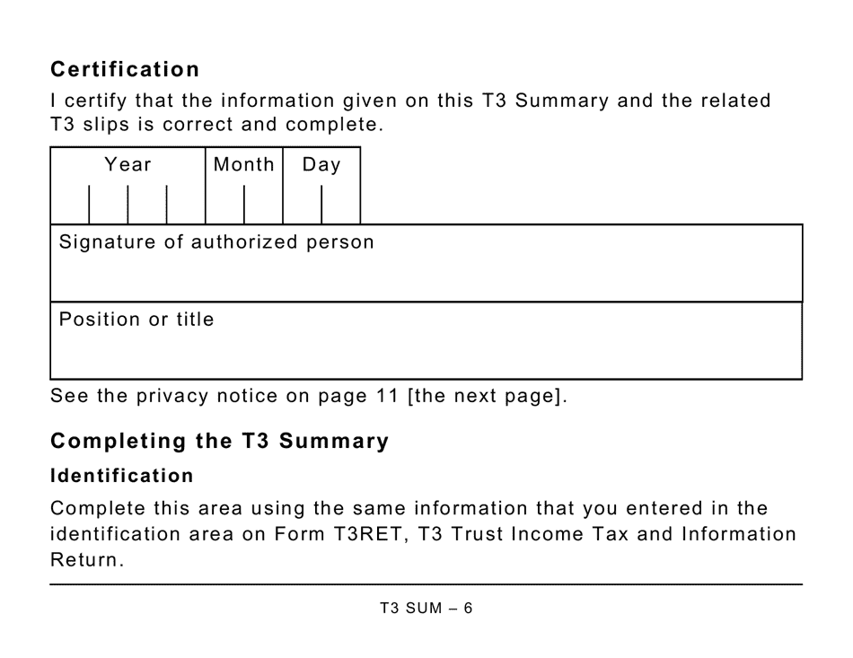 Form T3 SUM Summary of Trust Income Allocations and Designations (Large Print) - Canada, Page 6
