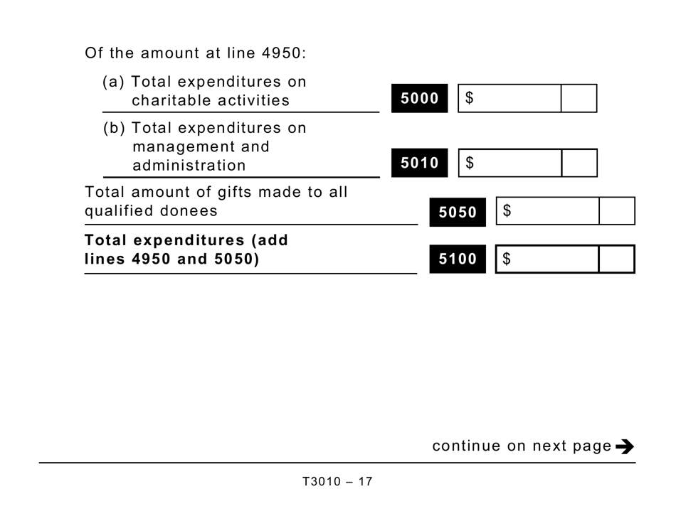 Form T3010 Registered Charity Information Return (Large Print) - Canada, Page 17