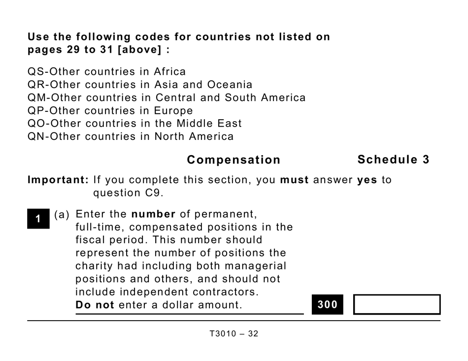 Form T3010 Registered Charity Information Return (Large Print) - Canada, Page 32