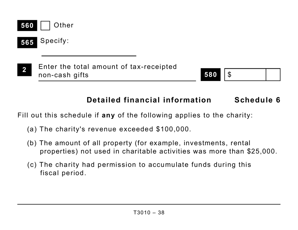 Form T3010 Registered Charity Information Return (Large Print) - Canada, Page 38