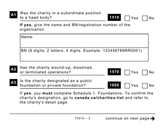 Form T3010 Registered Charity Information Return (Large Print) - Canada, Page 3