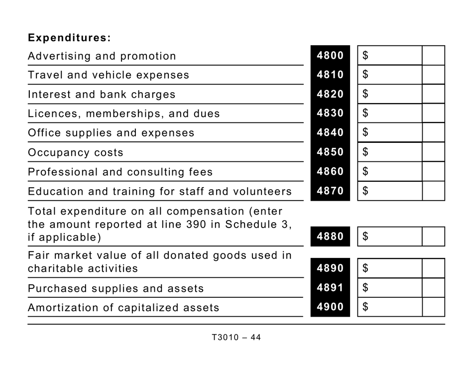 Form T3010 Registered Charity Information Return (Large Print) - Canada, Page 44