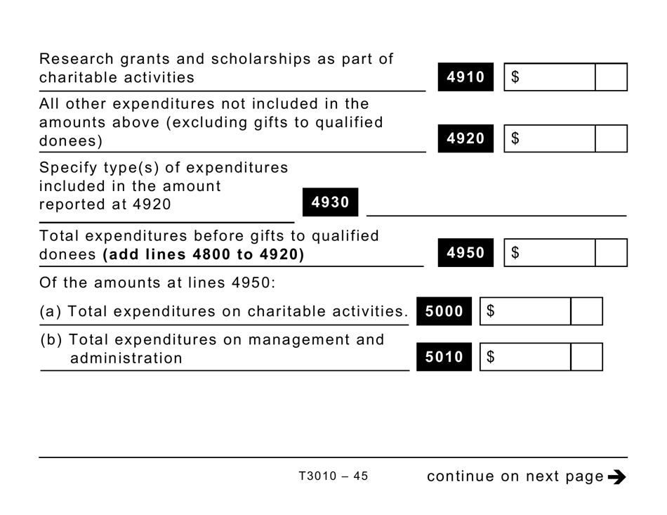 Form T3010 Registered Charity Information Return (Large Print) - Canada, Page 45