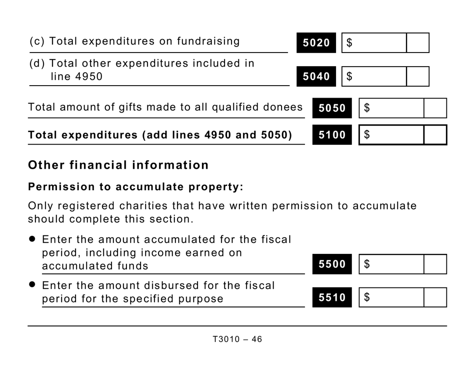 Form T3010 Registered Charity Information Return (Large Print) - Canada, Page 46