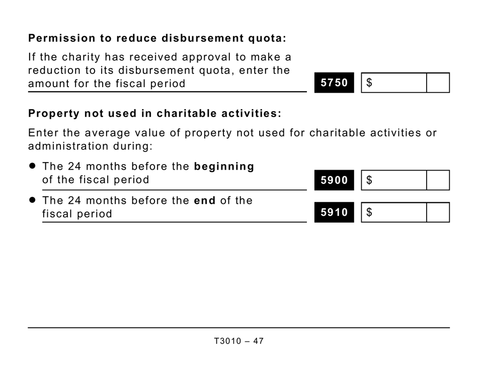 Form T3010 Registered Charity Information Return (Large Print) - Canada, Page 47