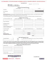 Form RCT-121C Gross Premiums Tax - Foreign Casualty or Foreign Fire Insurance Companies - Pennsylvania, Page 4