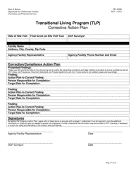 Form PPS8400E Transitional Living Program (Tlp) Site Visit Tool - Kansas, Page 17