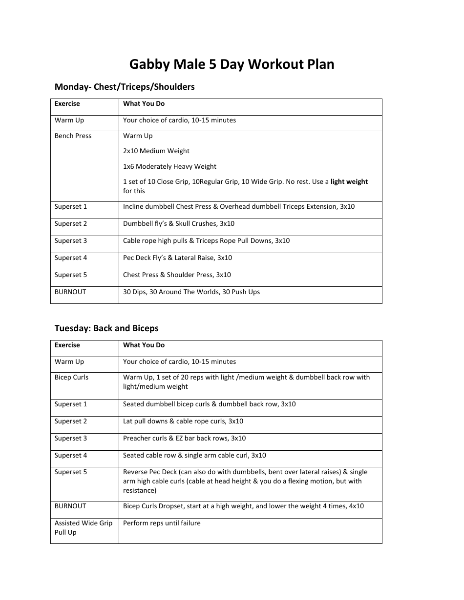 5-day-workout-plan-gabby-male-download-printable-pdf-templateroller