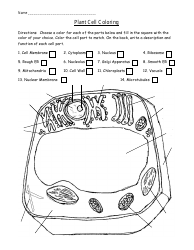 &quot;Plant Cell Coloring Worksheet&quot;