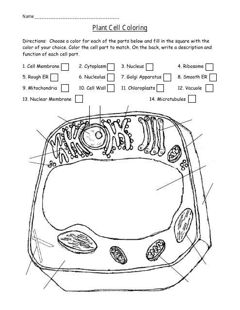 Plant Cell Diagram Coloring Worksheet