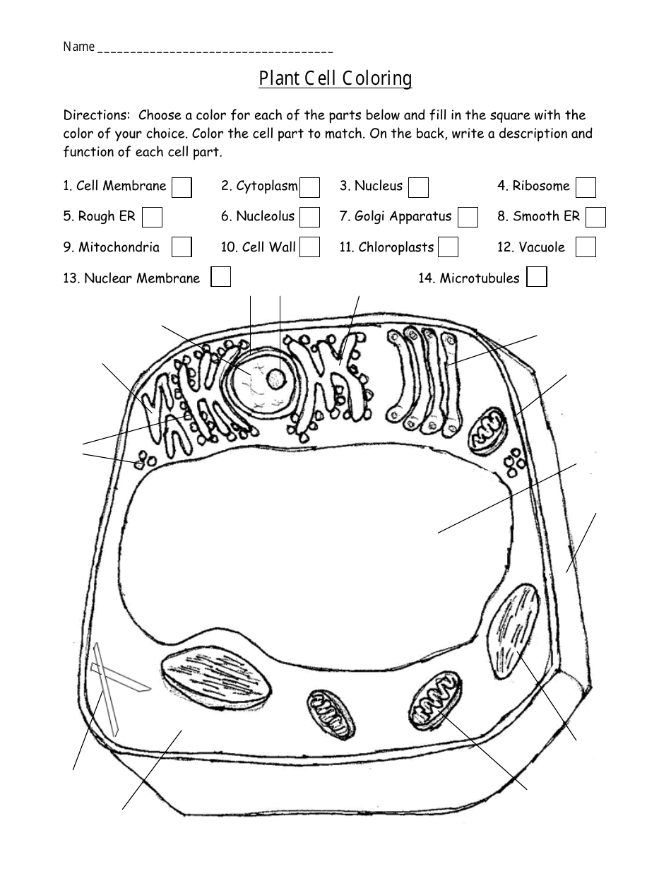 Plant Cell Coloring Worksheet Download Printable PDF  Templateroller Within Plant Cell Worksheet Answers