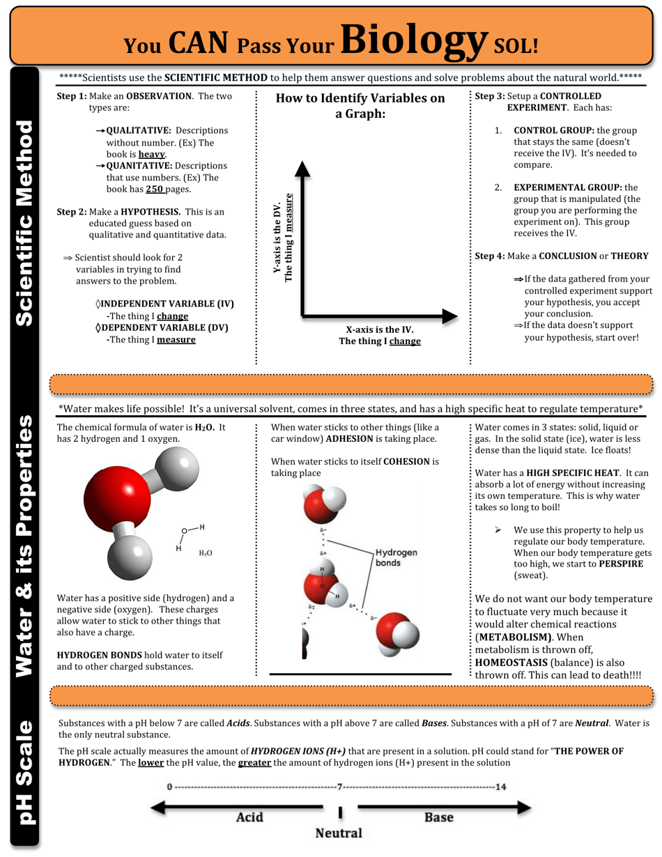 Biology Sol Cheat Sheet Download Printable PDF Templateroller