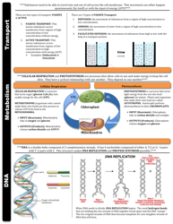 Biology Sol Cheat Sheet, Page 4