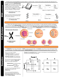 Biology Sol Cheat Sheet, Page 5