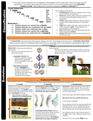 Biology Sol Cheat Sheet, Page 6