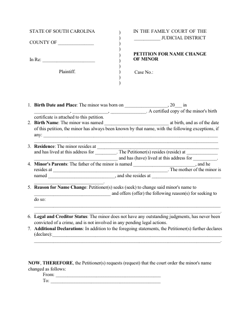 Petition for Name Change of Minor - South Carolina Download Pdf