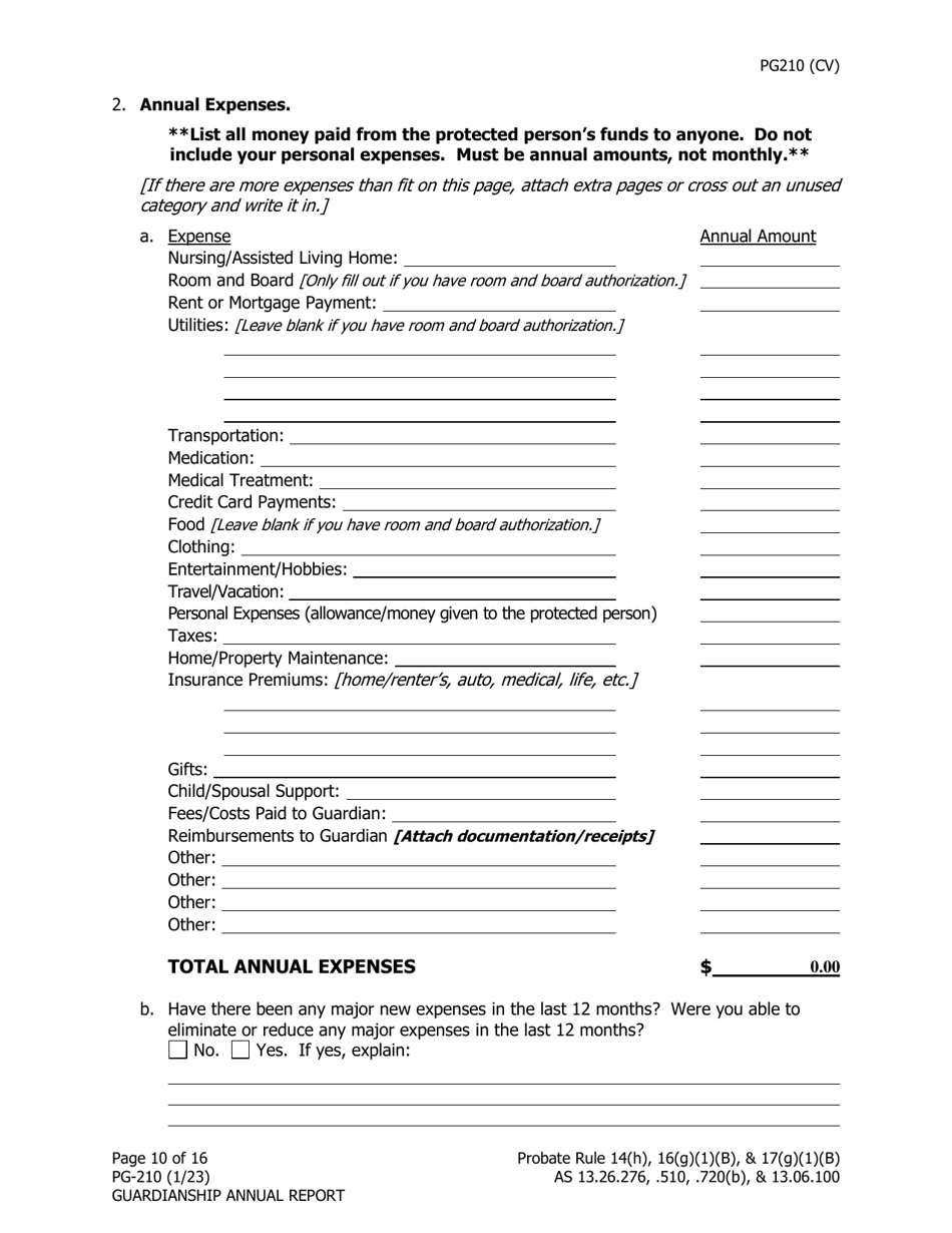 Form PG-210 Guardianship Annual Report - Alaska, Page 11