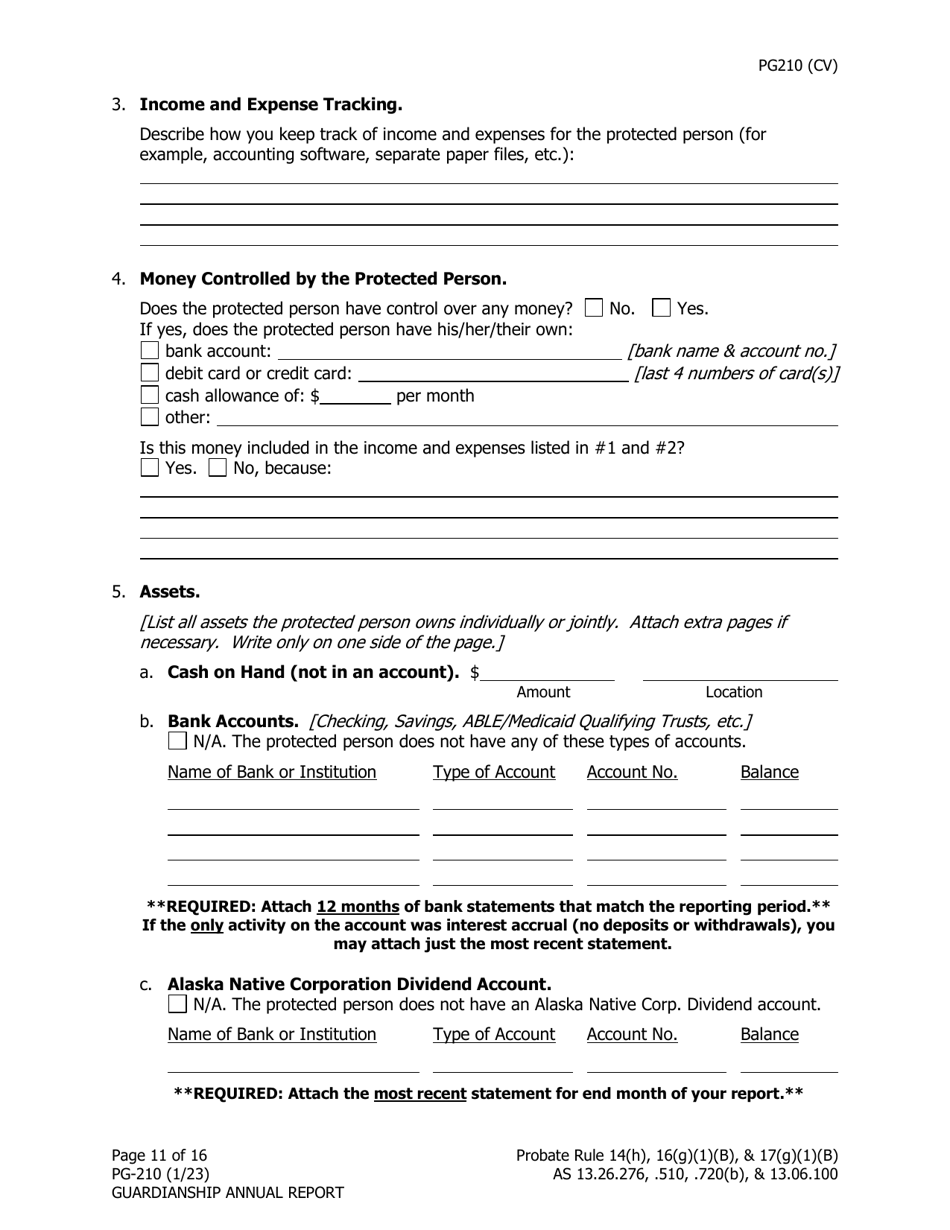 Form PG-210 Guardianship Annual Report - Alaska, Page 12