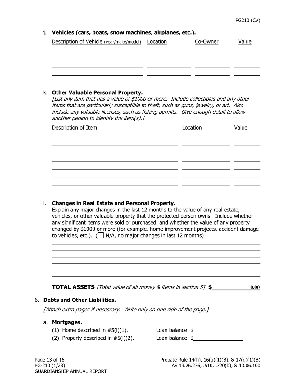 Form PG-210 Guardianship Annual Report - Alaska, Page 14