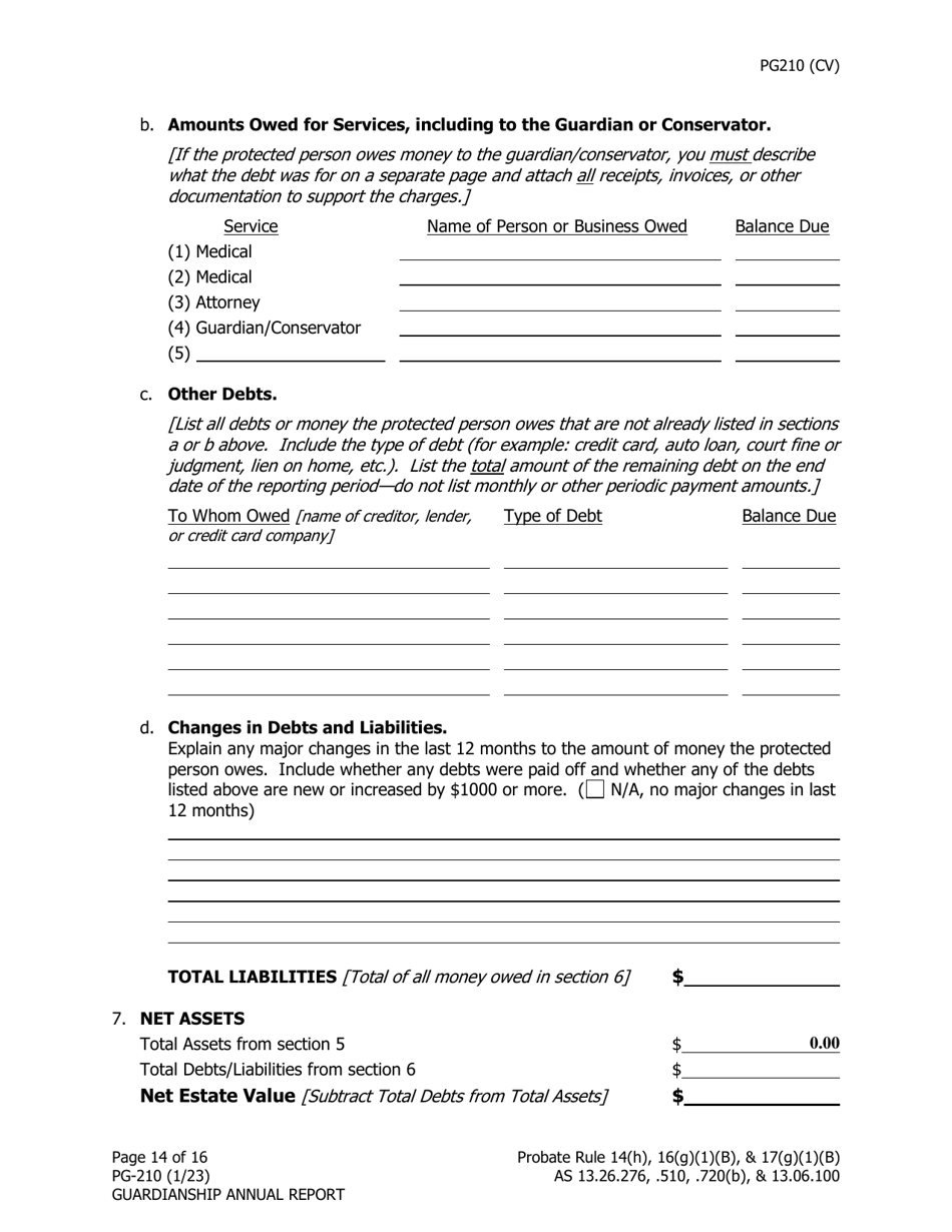 Form PG-210 Guardianship Annual Report - Alaska, Page 15