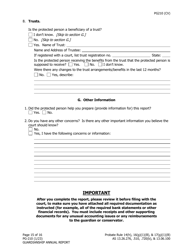 Form PG-210 Guardianship Annual Report - Alaska, Page 16