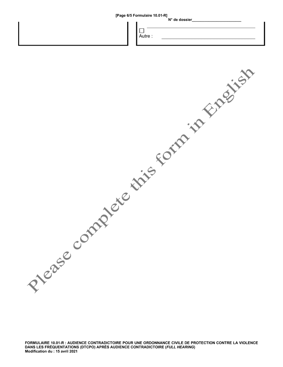 Form 10.01-R Dating Violence Civil Protection Order (Dtcpo) Full Hearing - Ohio (French), Page 6