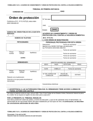 Document preview: Formulario 10.01-J Acuerdo De Consentimiento Y Orden De Proteccion Civil Contra La Violencia Domestica (R.c. 3113.31) - Ohio (Spanish)