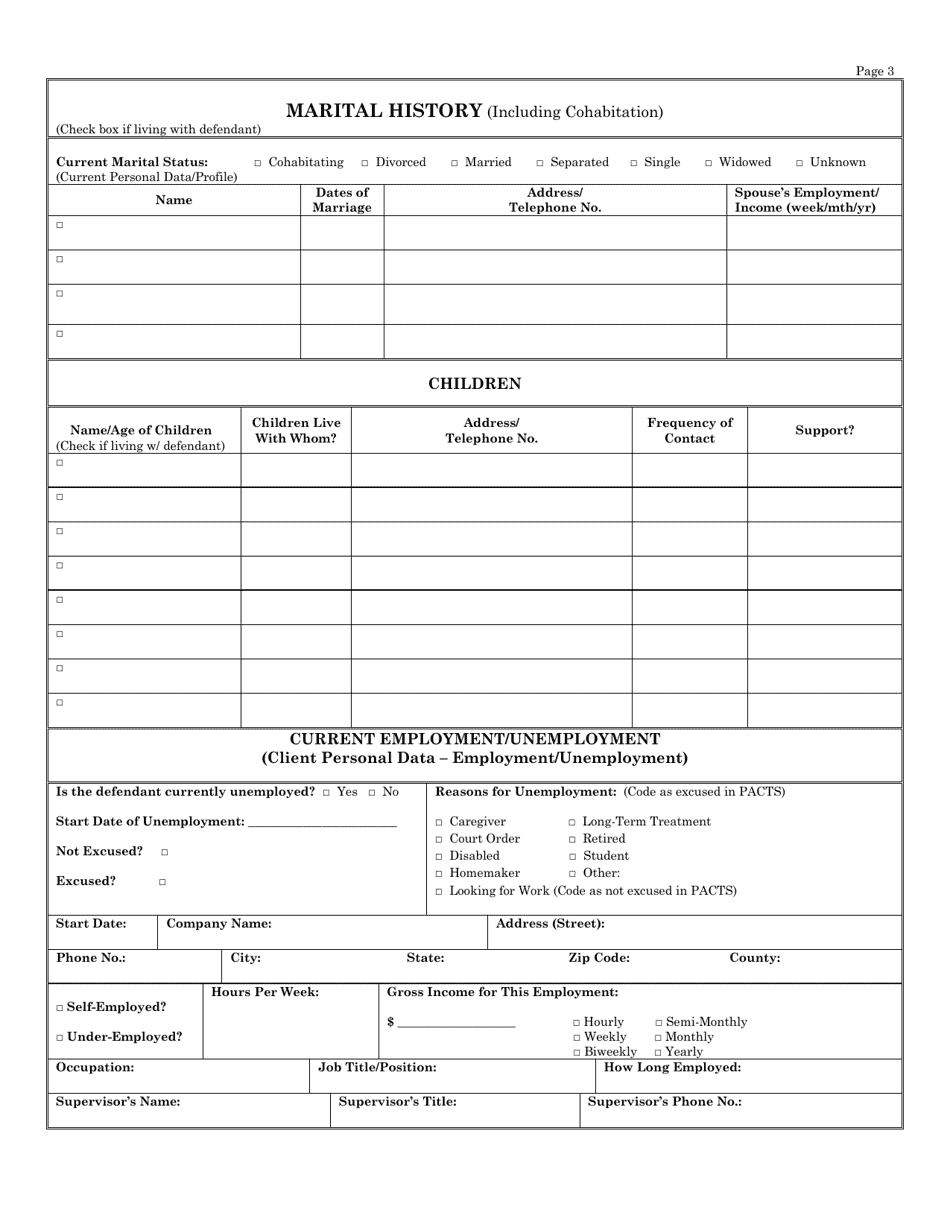 Worksheet for Pretrial Services Report - Missouri, Page 3