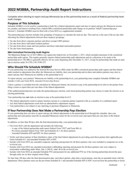 Form M3BBA Partnership Audit Report - Minnesota, Page 5