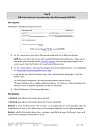 Form GAC901 Instructions - Petition for Guardianship of at-Risk Juvenile (18-21 Years Old) - Minnesota, Page 3