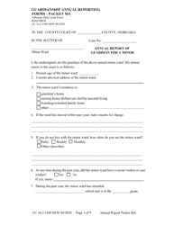 Form CC16:2.33M Annual Packet Ma - Guardianship for a Minor Annual Reporting Forms - Nebraska, Page 3