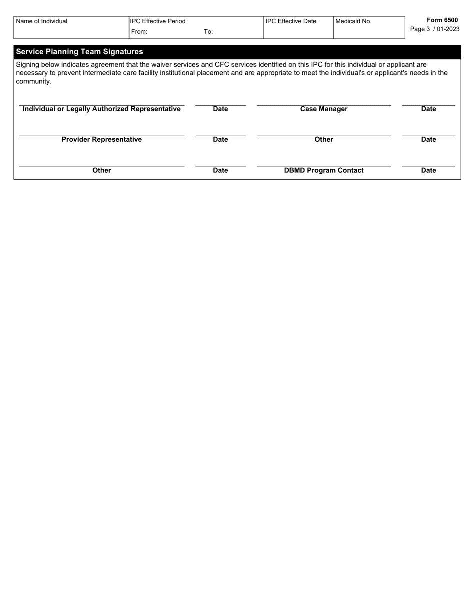 Form 6500 Individual Plan of Care (Ipc) - Texas, Page 3