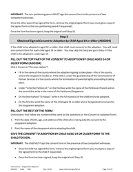 Form ADO201 Instructions - Stepparent Adoption (Uncontested) - Minnesota, Page 9