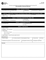 Form 3625 Documentation of Services Delivered - Texas