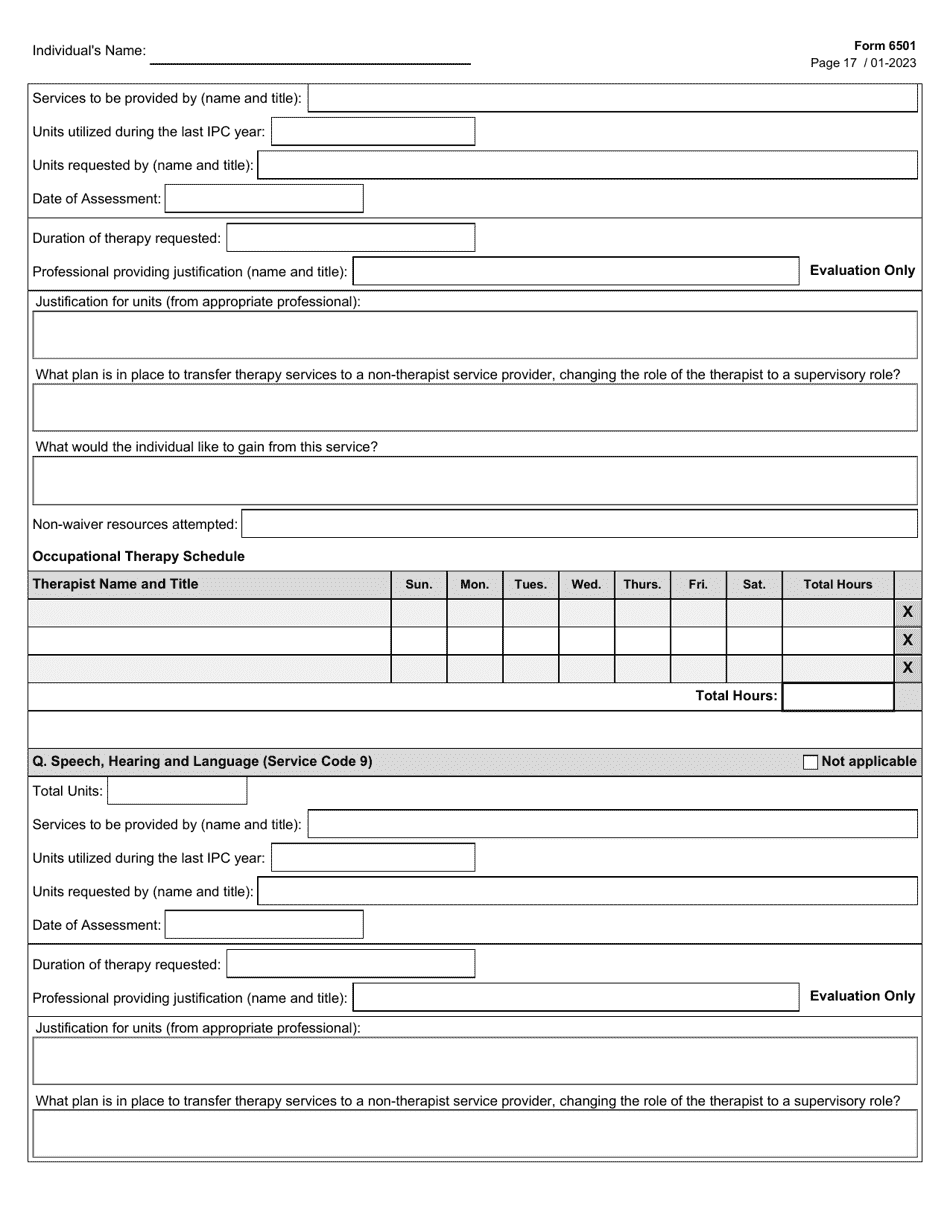 Form 6501 Individual Program Plan - Texas, Page 17