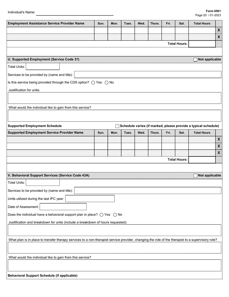 Form 6501 Individual Program Plan - Texas, Page 20