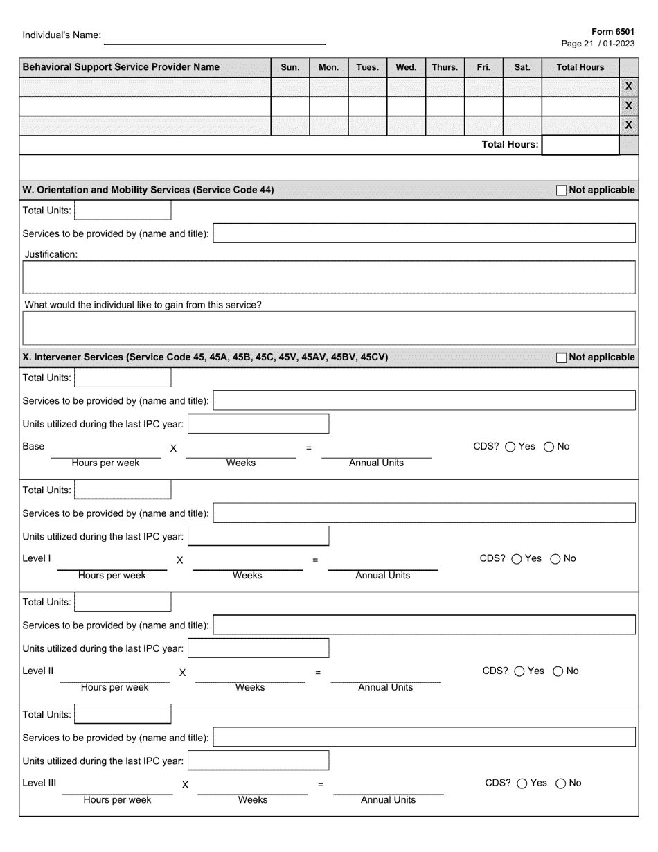 Form 6501 Individual Program Plan - Texas, Page 21