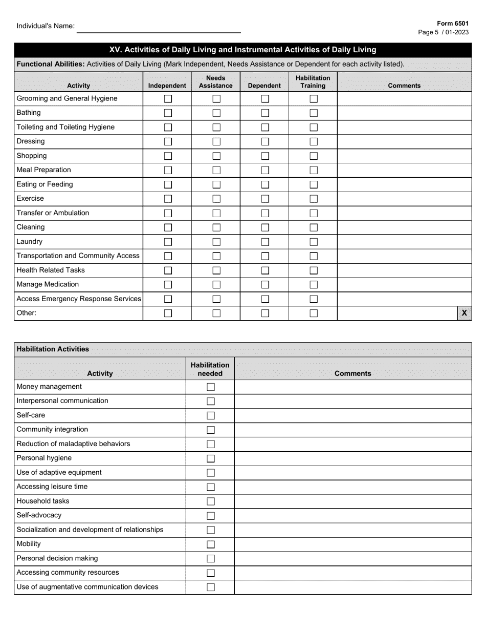 Form 6501 Individual Program Plan - Texas, Page 5