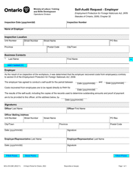 Document preview: Form MOL-ES-026 Self-audit Request - Employer - Ontario, Canada