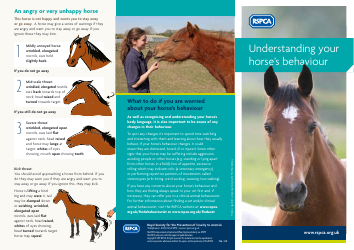 Document preview: Horse Body Language Chart - Understanding Your Horse's Behaviour