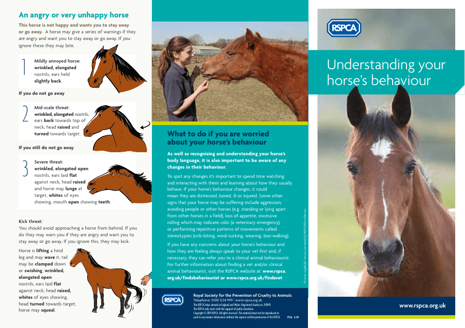 Horse Body Language Chart - Understanding your Horse's Behaviour Blueprint Image
