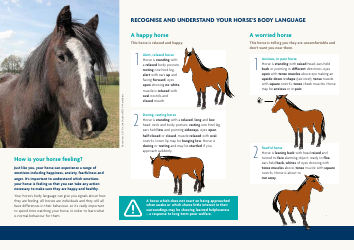 Horse Body Language Chart - Understanding Your Horse&#039;s Behaviour, Page 2