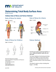 Body Surface Area Chart - Determining Total Body Surface Area - Minnesota